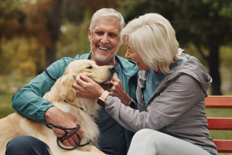 Royce Townhomes Smiling older couple sits on a park bench, petting a happy golden retriever with trees in the background.