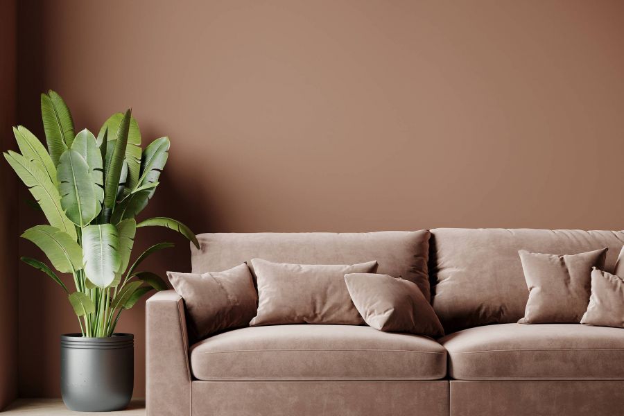 Royce Townhomes Beige sofa with four cushions next to a potted green plant against a brown wall in a minimalist living room.